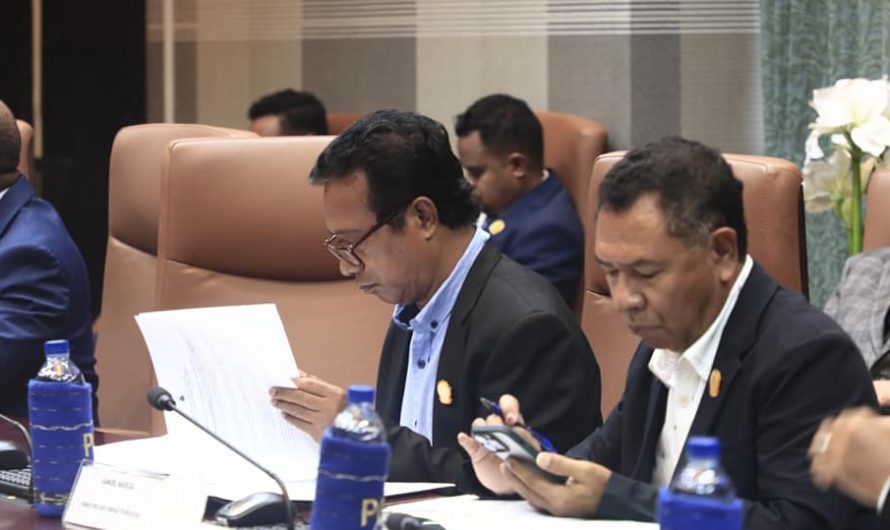 KONSELLU MINISTRU IHA LORON DARUAK